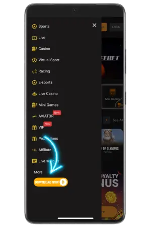 Freshbet APK download button tap